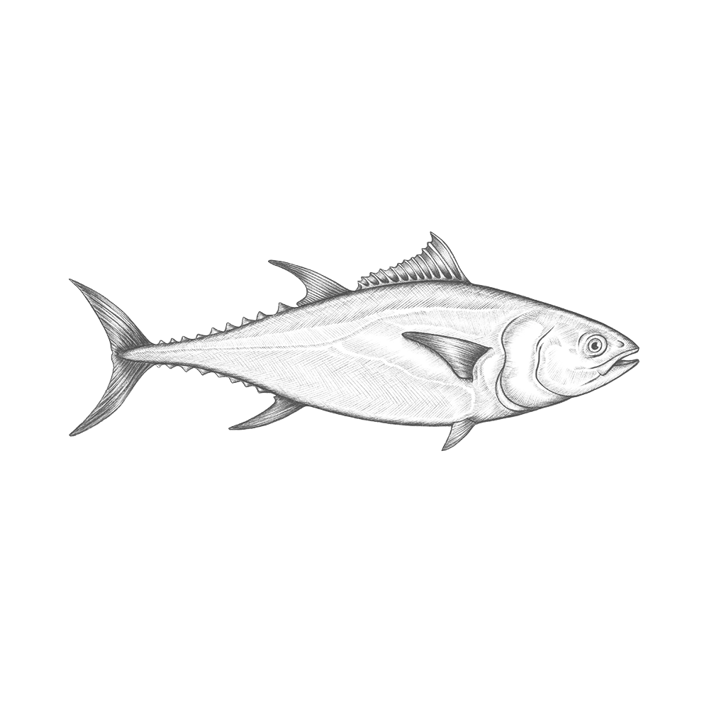 Bluefin Tuna Carpaccio